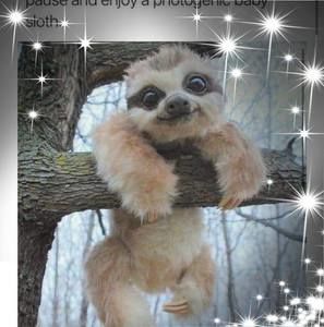 Meet your Posher, Amelia